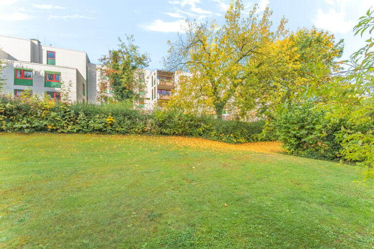 Blick von der Terrasse auf die Grünfläche davor