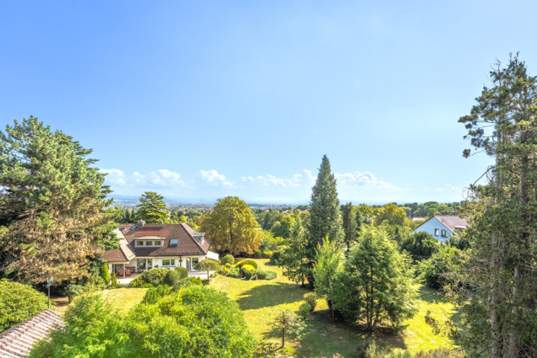 Fernblick von der Terrasse
