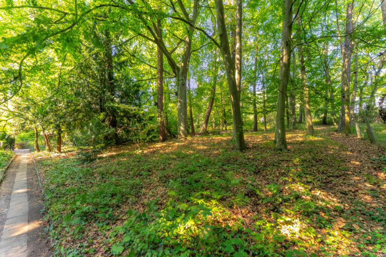 Blick in den parkartigen Garten