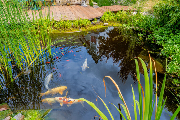 Gartenteich Haus 1