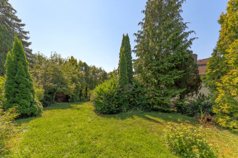 Garten hinter dem Haus