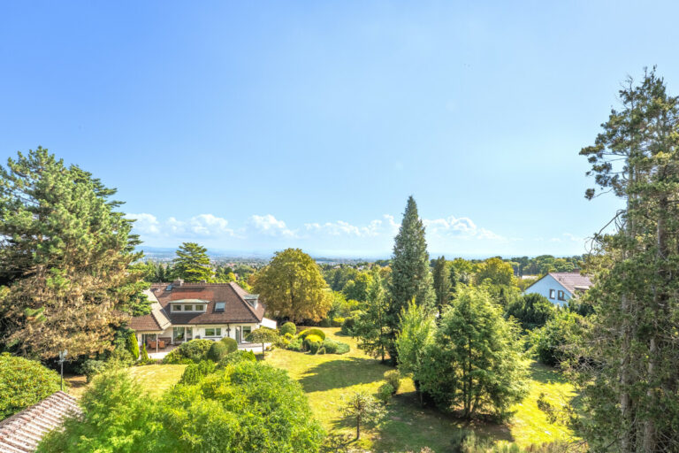 Fernblick von der Terrasse